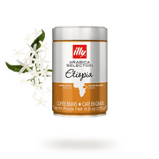 MONOARABICA™ Whole Bean Ethiopia 250 g (box of 6)