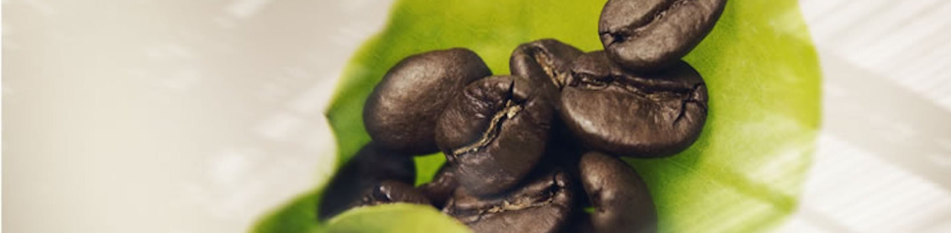 Best Sellers - illy Coffee from the Kaffeina Group 