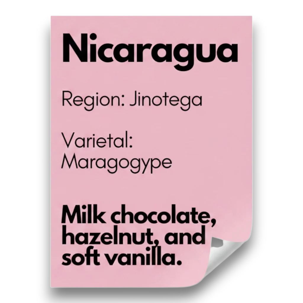 Nicaragua, Maragogype